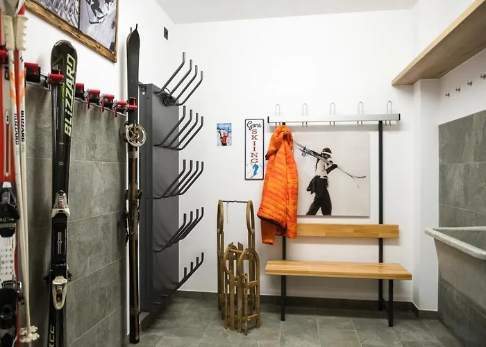 Near Arena Wildkogel Alpstuga *